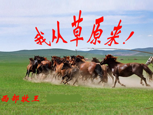 西部牧王酒全國營銷中心