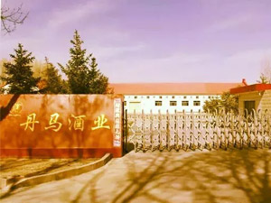 山丹馬場丹馬酒業有限責任公司