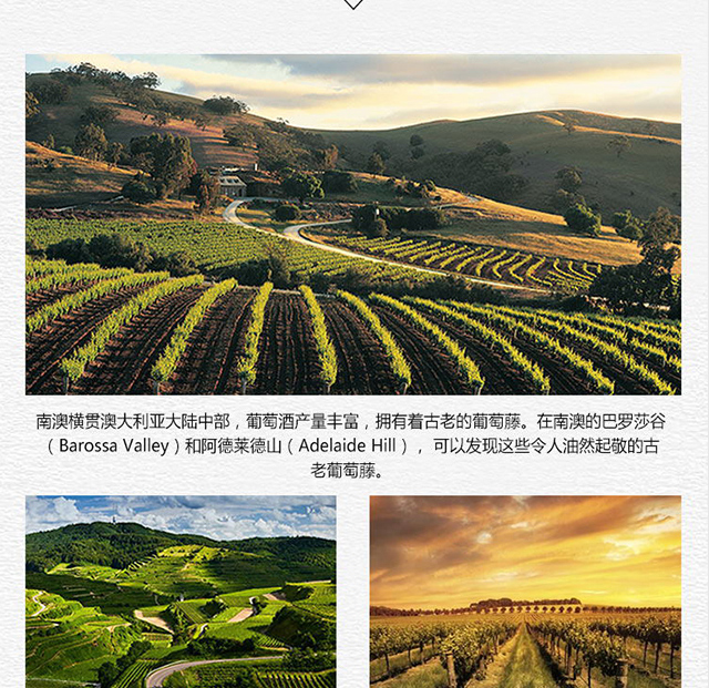 心菲莊園618西拉子