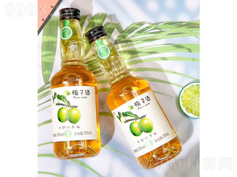 ӷ÷Ӿơ12295ml-خaϢ