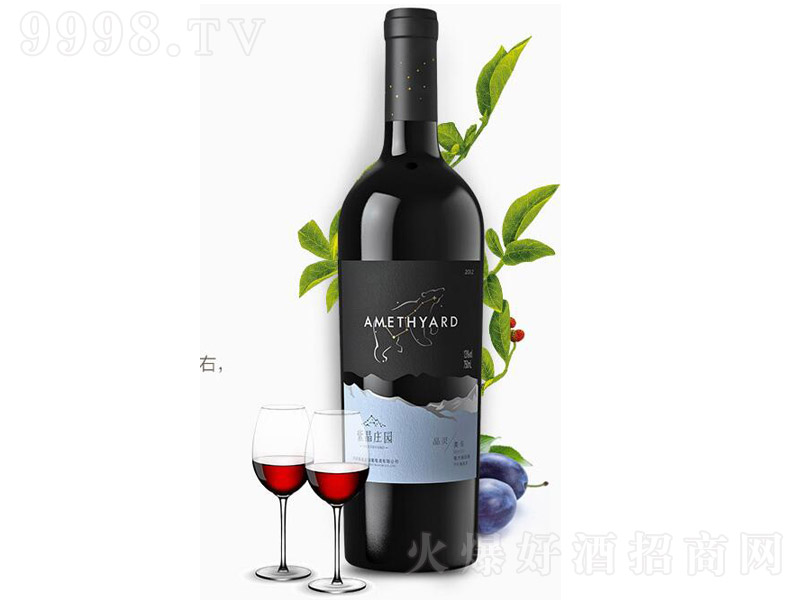 Ͼf`ɼtѾơ13 750ml-tϢ