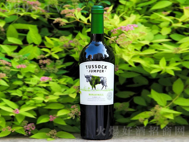 t@Ī{˹נɼtѾơ14 750ml-tϢ