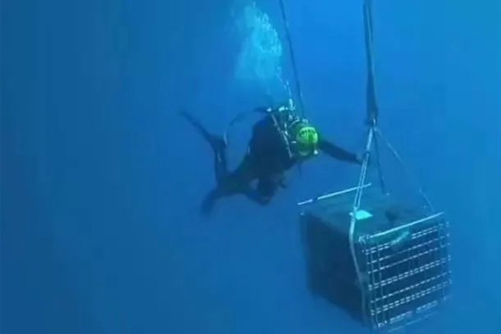 ƺ۶أҼ̖ҊCl(f)ں׵͑׃