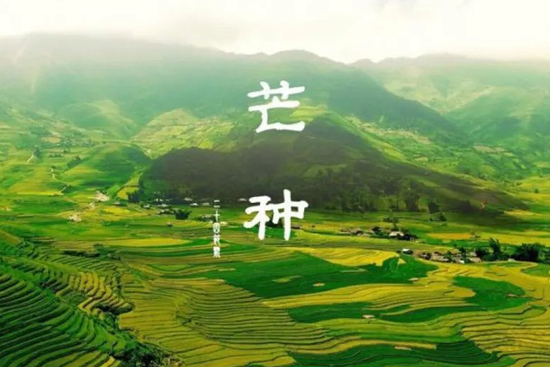 âN | һھƷζqµĝ