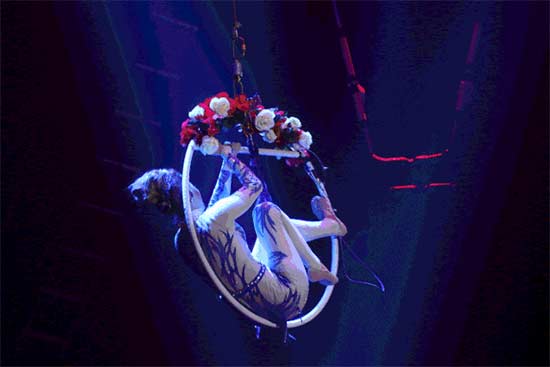 斑馬精釀 斑馬精釀