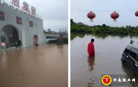 自救同時,捐款100萬元||災難面前,壽酒和你一起扛! 自救同時,捐款100萬元||災難面前,壽酒和你一起扛!