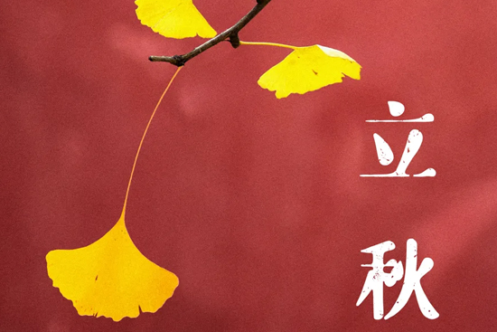 立秋到了,今年的秋酒怎么喝? 立秋到了,今年的秋酒怎么喝?