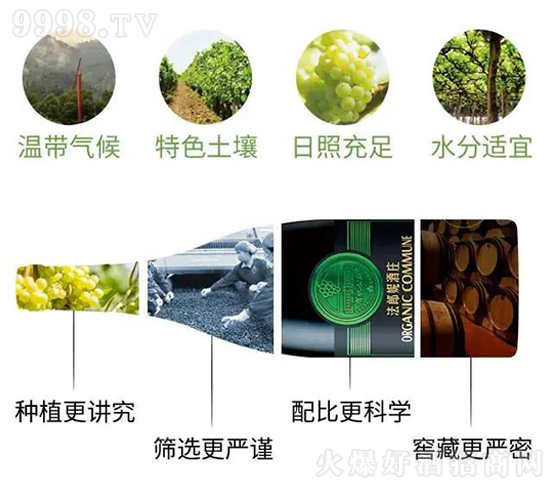 法郎妮酒業 法郎妮酒業