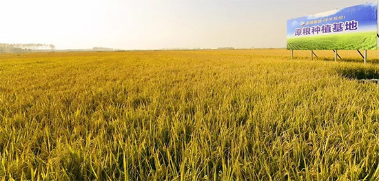 ٫@Jɣӹɷݱ衰ʡM\ƷI