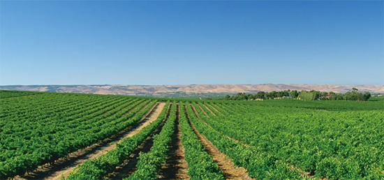 e^ͶYé_ǧfҪe^ͶYԣ