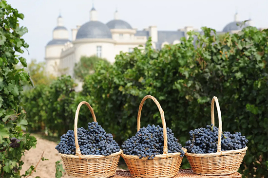 e^ͶYé_ǧfҪe^ͶYԣ