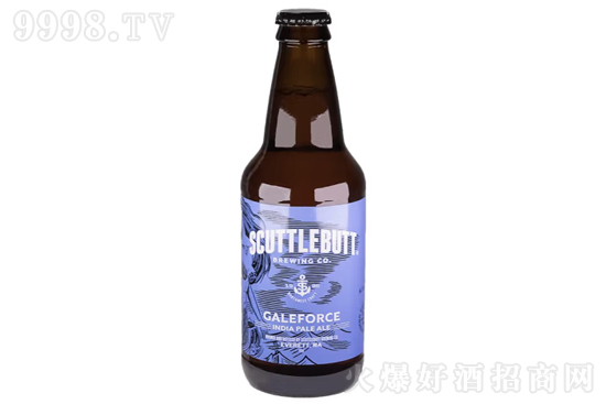 13.1~ZL(fng)IPAơ355mlrX