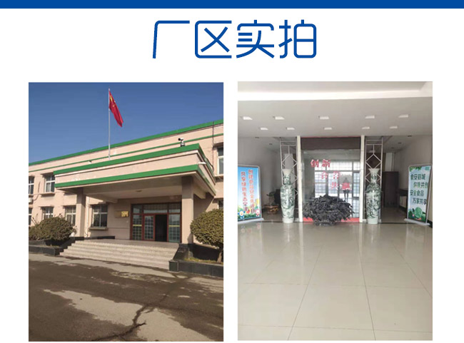 曼德堡黑啤酒500ml