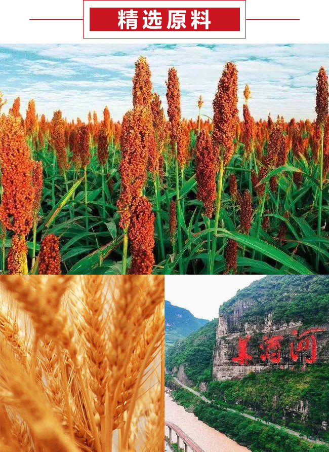 華萃名酒—龍鳳呈祥【53°500ml】