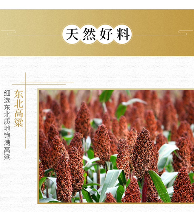 佰福園人參酒42°100ml