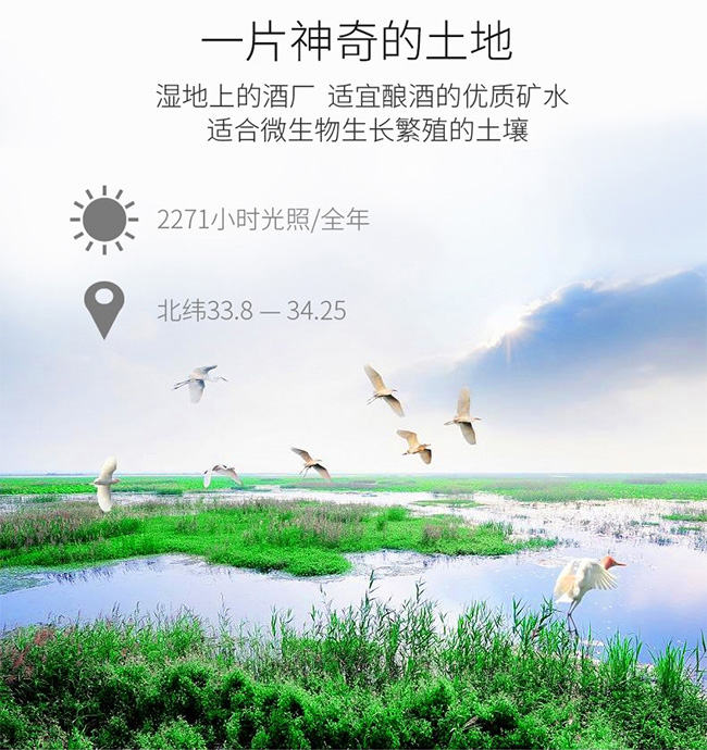 海藍御品天尊綿柔【42度500ml】