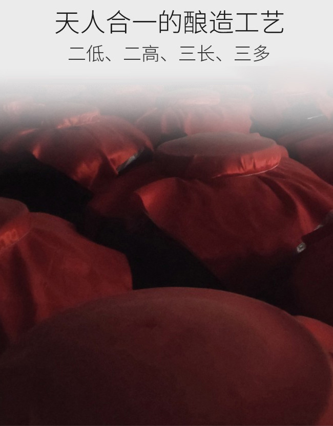 海藍御品天尊綿柔【42度500ml】