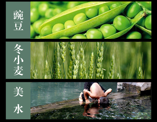 老紹坊清醇尚雅清爽型黃酒