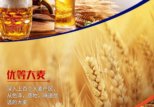 哥樂娜精釀啤酒500ml×12罐