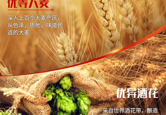 青城特制啤酒320mlx24