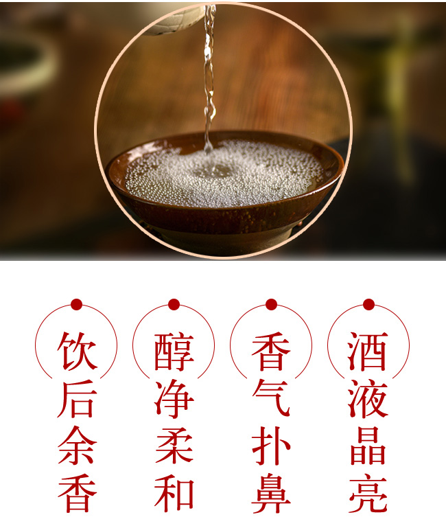 瀏陽河湘貢天下·貢99-42°475ml濃香型白酒