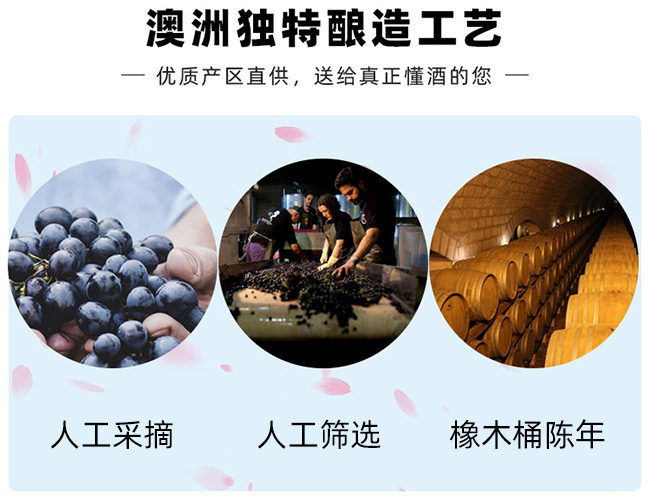 撒克遜金天鵝干紅葡萄酒