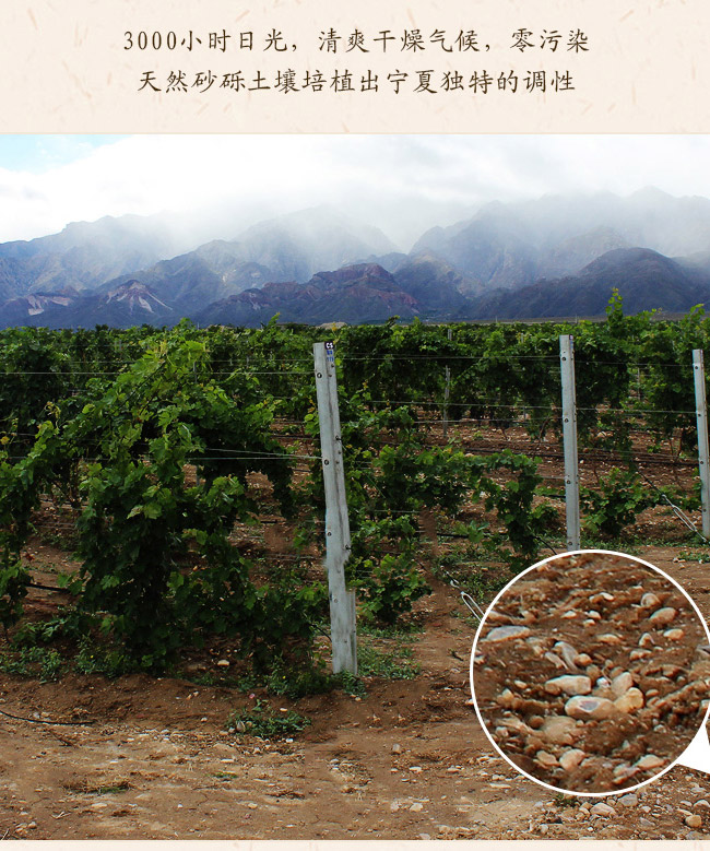 類人首鉆石赤霞珠干紅葡萄酒12.8°750ml