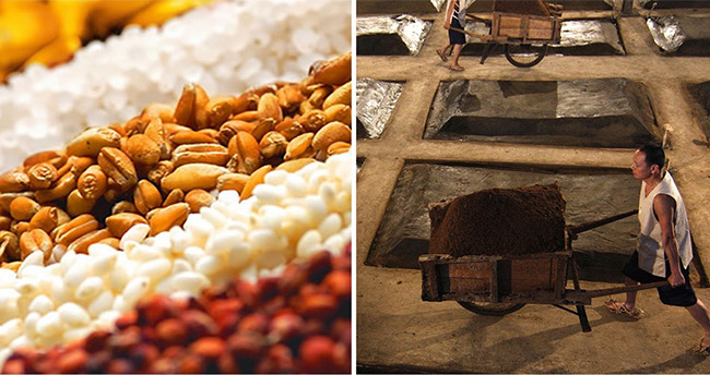 輝煌騰達酒·佳品