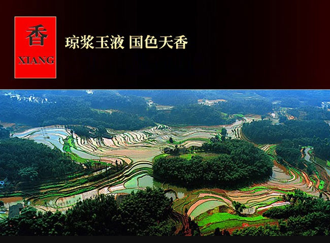 恭喜發財酒-柔和