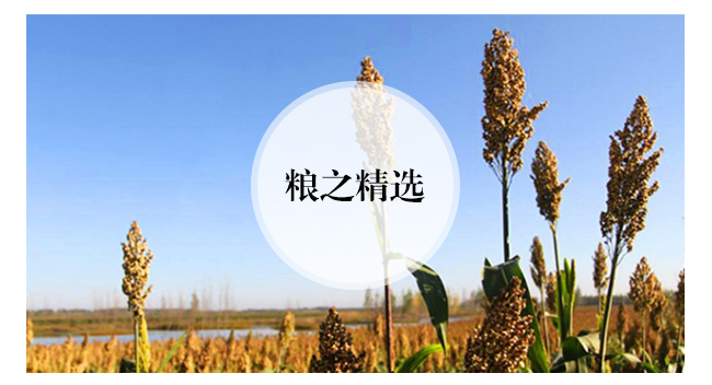 κB(ti)ԭ{\(yn)Ͱ׾ơ4252500ml