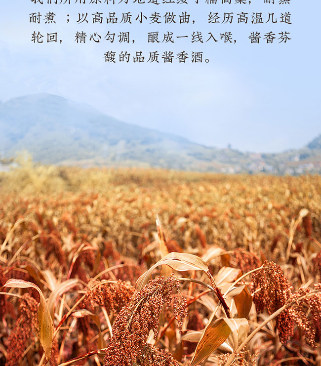 黔館大師酒 醬香型白酒【53° 500ml】