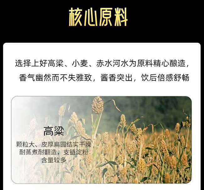 白水杜康醬酒禮贊 醬香型白酒【53° 500ml】