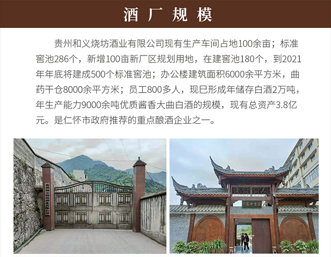 和義燒坊酒君雅 醬香型白酒【53° 500ml】