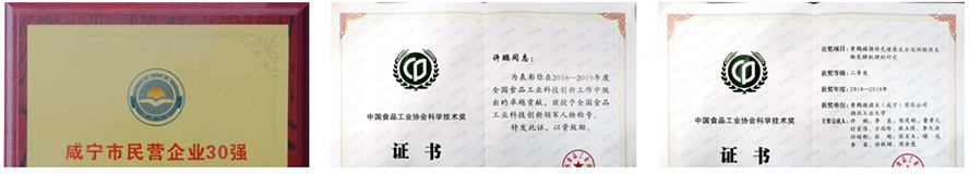 黃鶴樓酒業有限公司